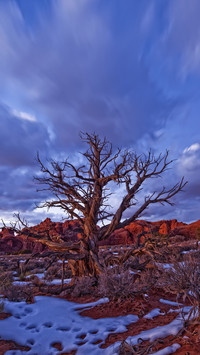 National park 6