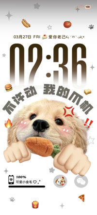 金毛小狗趣味多图