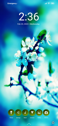 Blossom Quo