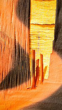 Edinburgh Wooden Panorama