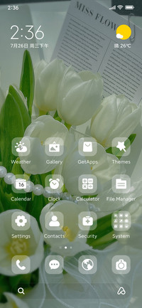 Tulips in spring