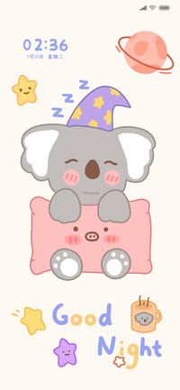 晚安 Koala