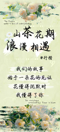 山茶花期浪漫相遇