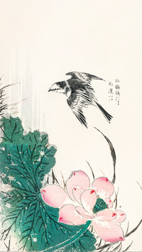 日本花鸟绘的东方诗意
