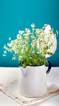 Falling in love with flower arrangement is the happiest thin