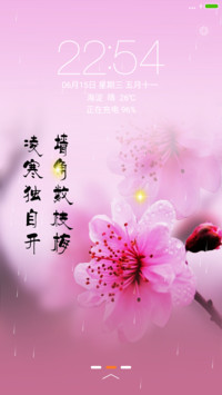 梅花苦寒来【下雨特效+音乐锁屏】