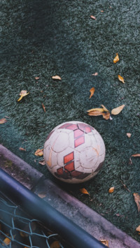 Sports (14)