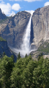 Environment Day (6)