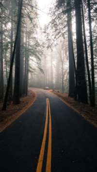 Road Trip (9)