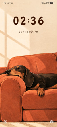 Cozy Dachshund