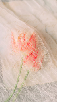 Natural beauty-PAIXIN