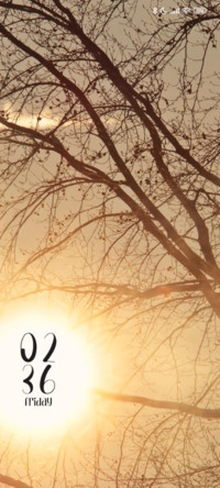 Dawn Tree