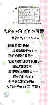 我的小猫 唯一可爱