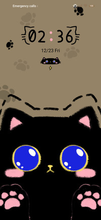 Big eyed black cat
