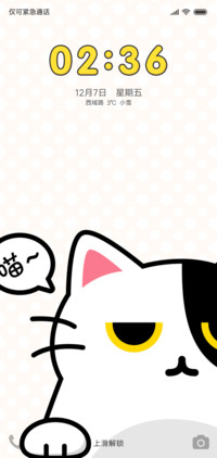 小猫猫