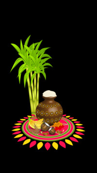 Pongal  (7)