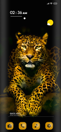 Wild i