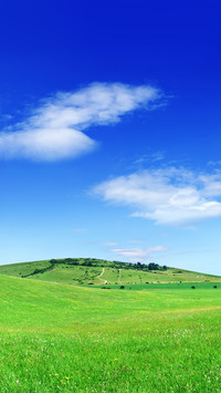 Green grass and blue sky