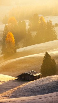 Autumn is here