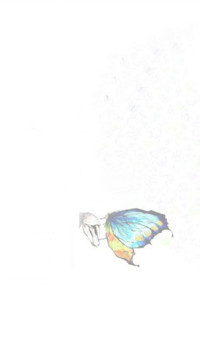 化蝶