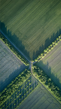 Beautiful view of the farmland