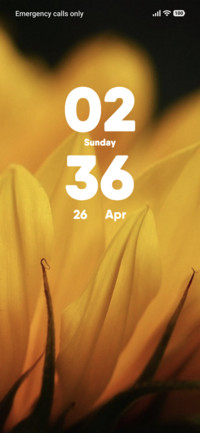 Sun Bloom