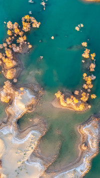 Huludao Desert Poplar Landscape
