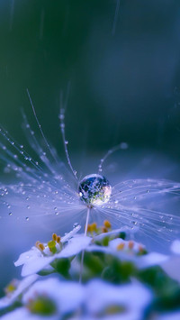 raindrops (3)