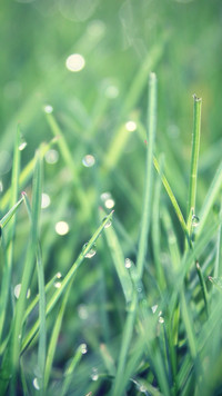 raindrops (10)