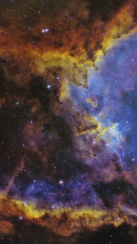 Seagull Nebula 7