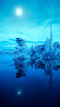 International-Reflection