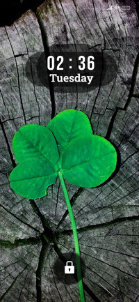 Clover Seen