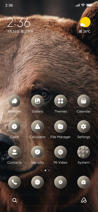 Bear
