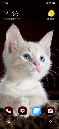 Kitten Textile