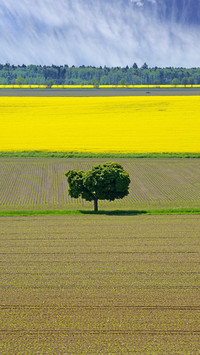 Wide fields