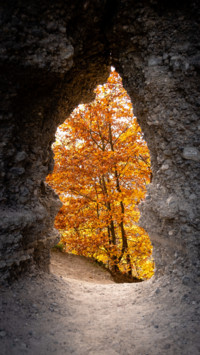 Switzerland (4)