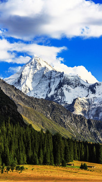 Go to Northwest China in autumn 2