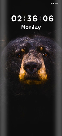 Bear