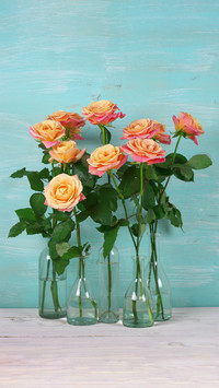How to Control Diseases and Pests in Flowers 1