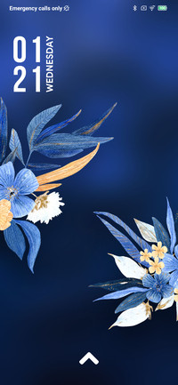 Flower Shower_3MDP