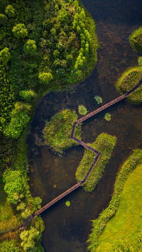 The wetland is bathed in the morning light with birds