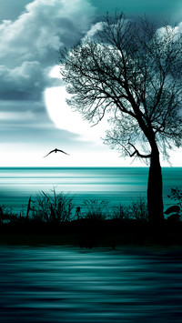 Landscape world-04