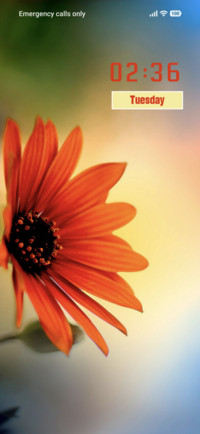 Flower