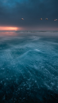 Dreams of the Frozen Lake