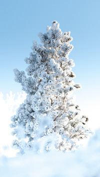 最美雪景地