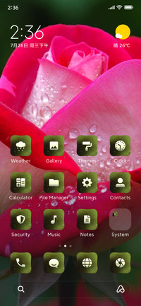 Rose