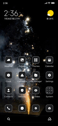 Firework