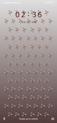 Ferns_3MDS