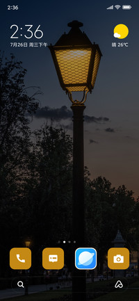 Evening Lamp