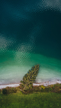 Fallen trees overlooking lake valxing